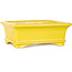 Maceta rectangular amarilla para bonsái de Shouzan - 128 x 108 x 47 mm