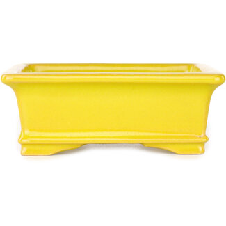Shouzan  (Akira/Masami Watanabe) 128 mm  yellow bonsai pot by Shouzan, Japan