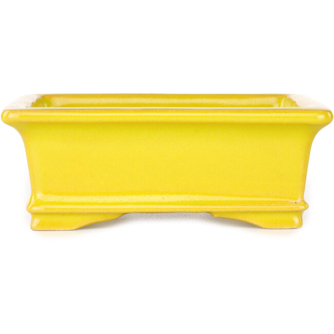 Maceta rectangular amarilla para bonsái de Shouzan - 128 x 108 x 47 mm