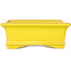 Maceta rectangular amarilla para bonsái de Shouzan - 128 x 108 x 47 mm
