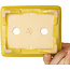 Maceta rectangular amarilla para bonsái de Shouzan - 128 x 108 x 47 mm