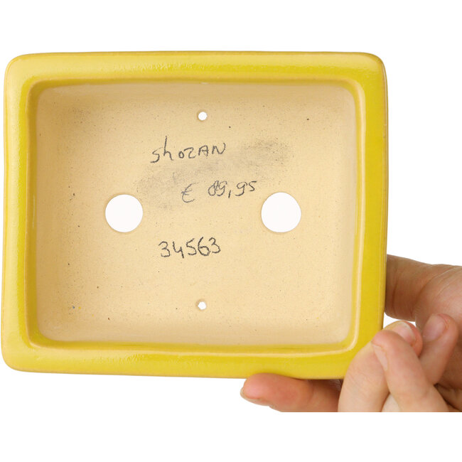 Rectangular yellow bonsai pot by Shouzan - 128 x 108 x 47 mm