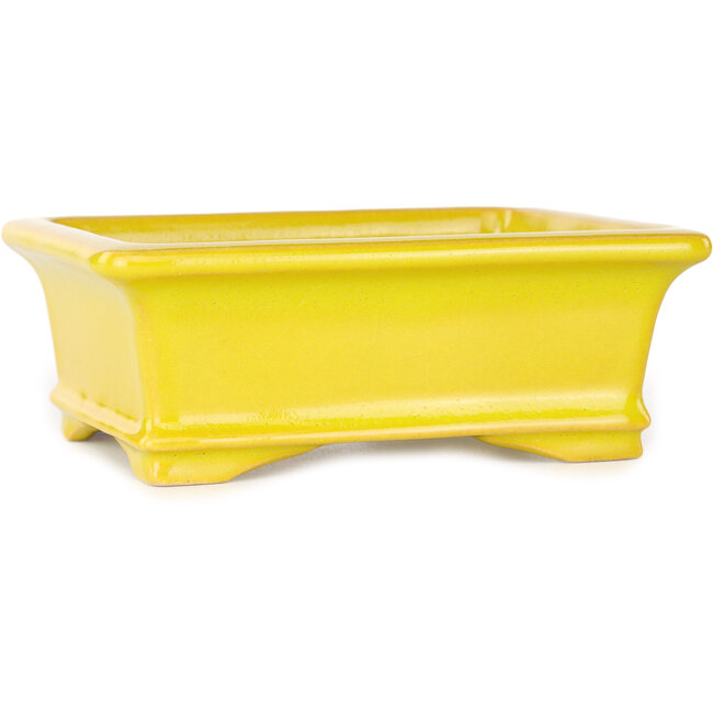Vaso bonsai rettangolare giallo di Shouzan - 128 x 108 x 47 mm