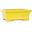 Maceta rectangular amarilla para bonsái de Shouzan - 128 x 108 x 47 mm