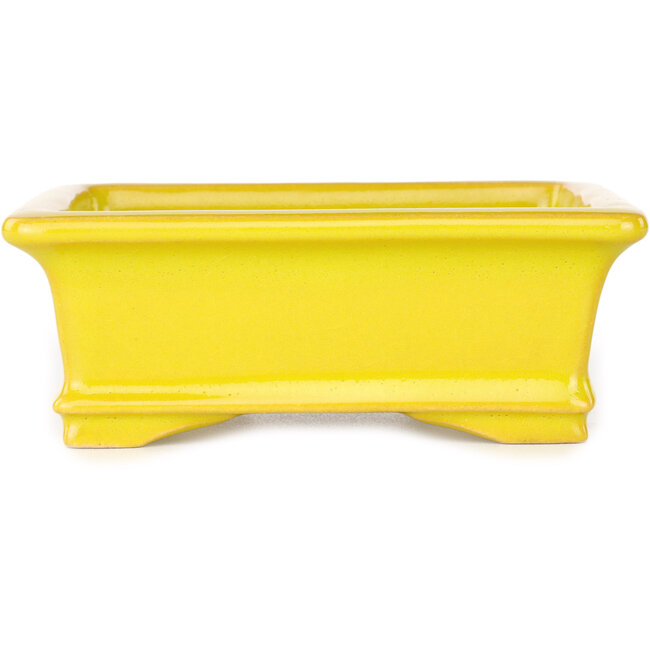 Rectangular yellow bonsai pot by Shouzan - 128 x 108 x 47 mm