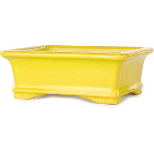 Rectangular yellow bonsai pot by Shouzan - 128 x 108 x 47 mm