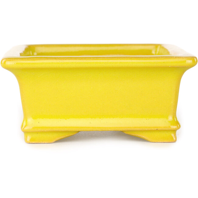 Maceta rectangular amarilla para bonsái de Shouzan - 128 x 108 x 47 mm