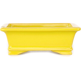 Shouzan  (Akira/Masami Watanabe) 125 mm  yellow bonsai pot by Shouzan, Japan