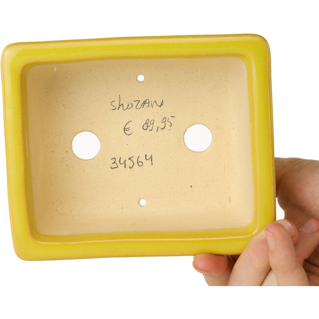 Rectangular yellow bonsai pot by Shouzan - 128 x 108 x 47 mm