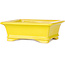 Maceta rectangular amarilla para bonsái de Shouzan - 125 x 100 x 45 mm
