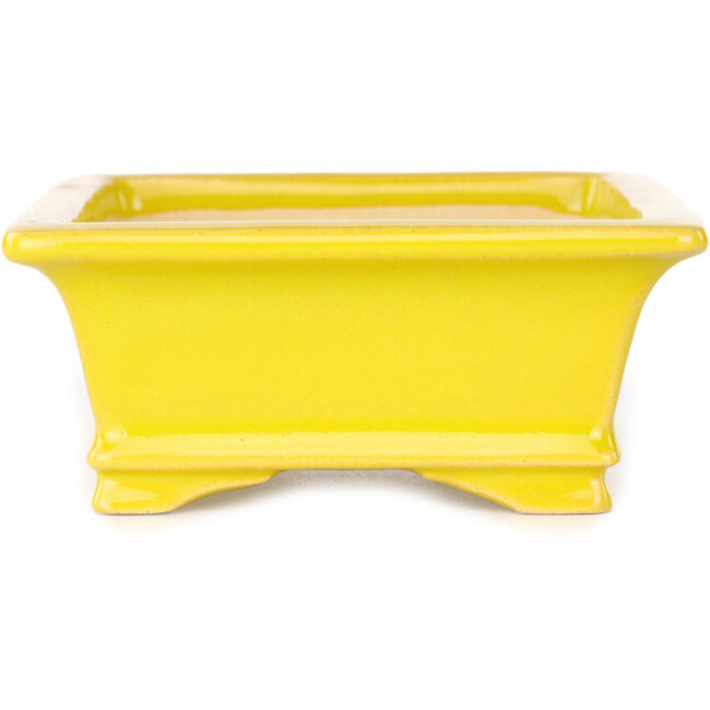 Maceta rectangular amarilla para bonsái de Shouzan - 125 x 100 x 45 mm