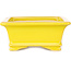 Rectangular yellow bonsai pot by Shouzan - 125 x 100 x 45 mm