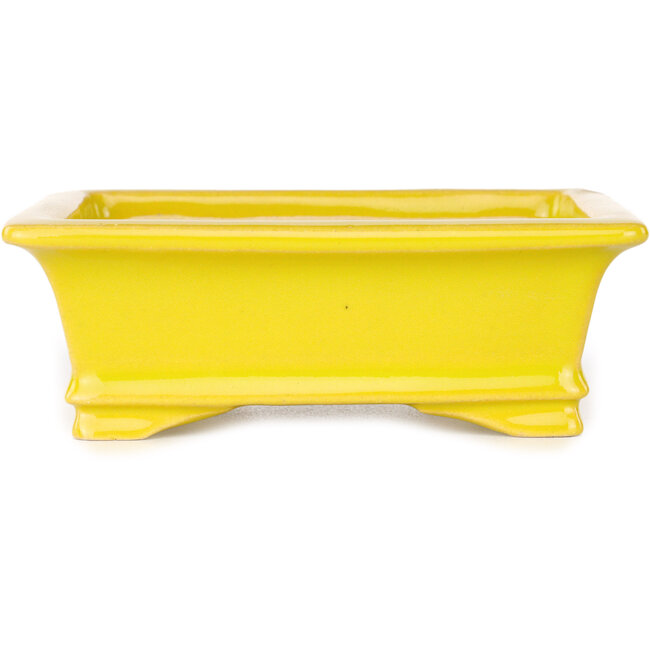 Vaso bonsai rettangolare giallo di Shouzan - 125 x 100 x 45 mm