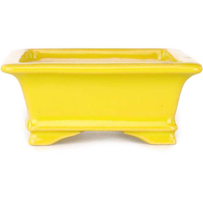 Vaso bonsai rettangolare giallo di Shouzan - 125 x 100 x 45 mm