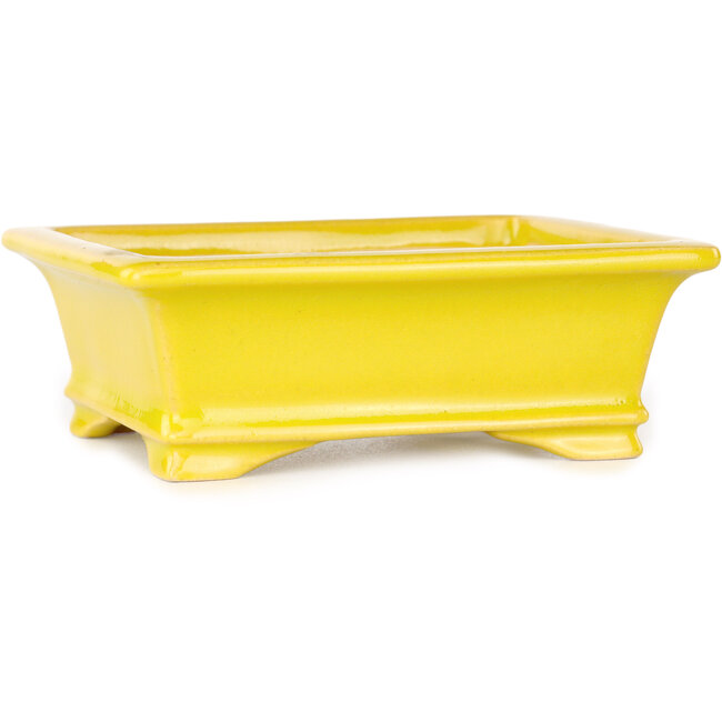 Pot à bonsaï rectangulaire jaune de Shouzan - 125 x 100 x 45 mm
