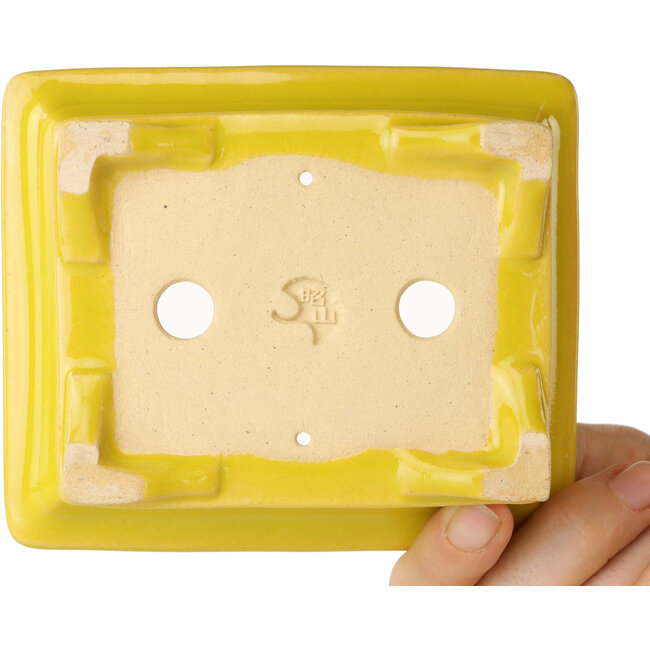 Rectangular yellow bonsai pot by Shouzan - 125 x 100 x 45 mm