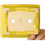 Rectangular yellow bonsai pot by Shouzan - 125 x 100 x 45 mm