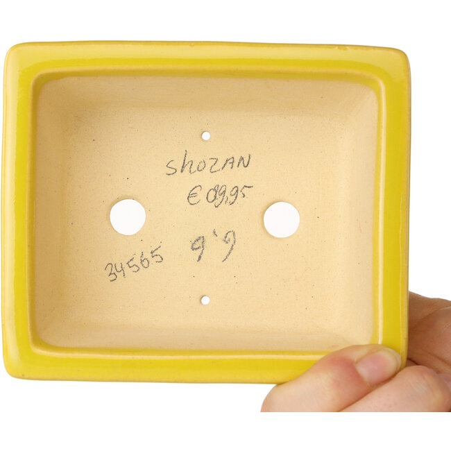 Rectangular yellow bonsai pot by Shouzan - 125 x 100 x 45 mm