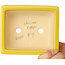 Pot à bonsaï rectangulaire jaune de Shouzan - 125 x 100 x 45 mm