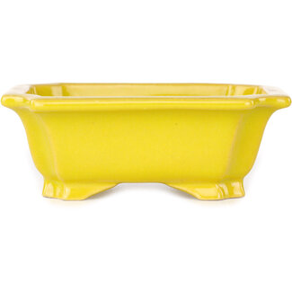Shouzan  (Akira/Masami Watanabe) 120 mm  yellow bonsai pot by Shouzan, Japan