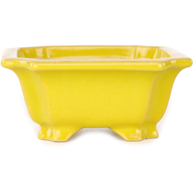 Pot à bonsaï rectangulaire jaune de Shouzan - 120 x 103 x 45 mm