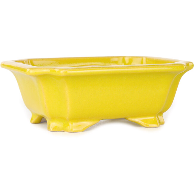 Maceta rectangular amarilla para bonsái de Shouzan - 120 x 103 x 45 mm