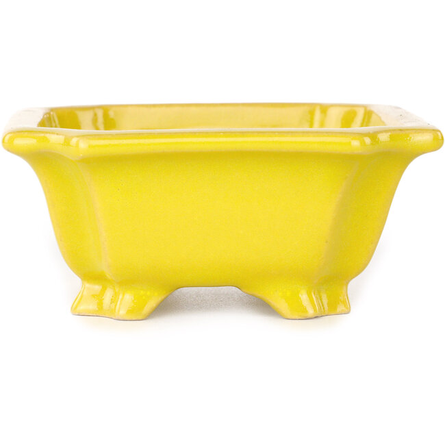 Rectangular yellow bonsai pot by Shouzan - 120 x 103 x 45 mm
