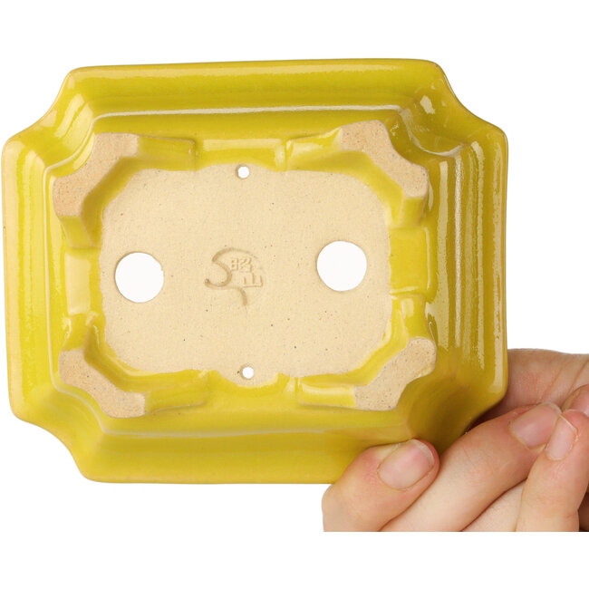 Maceta rectangular amarilla para bonsái de Shouzan - 120 x 103 x 45 mm
