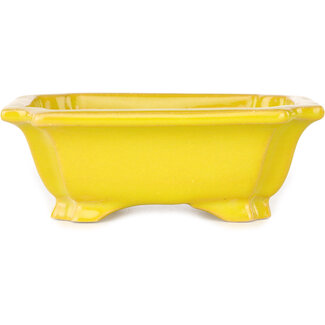Shouzan  (Akira/Masami Watanabe) 127 mm  yellow bonsai pot by Shouzan, Japan