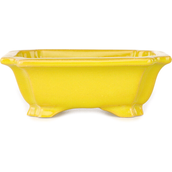 Vaso bonsai rettangolare giallo di Shouzan - 127 x 103 x 47 mm