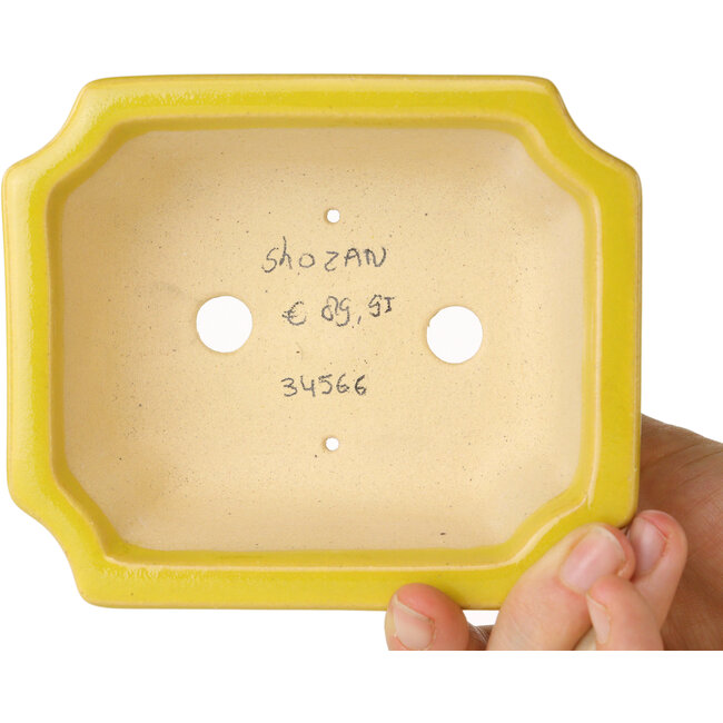 Vaso bonsai rettangolare giallo di Shouzan - 120 x 103 x 45 mm