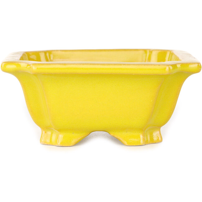 Pot à bonsaï rectangulaire jaune de Shouzan - 127 x 103 x 47 mm