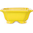 Vaso bonsai rettangolare giallo di Shouzan - 127 x 103 x 47 mm