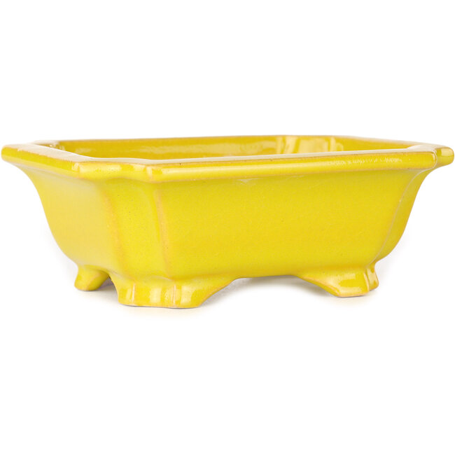 Pot à bonsaï rectangulaire jaune de Shouzan - 127 x 103 x 47 mm