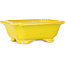 Maceta rectangular amarilla para bonsái de Shouzan - 127 x 103 x 47 mm