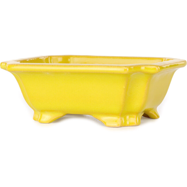 Pot à bonsaï rectangulaire jaune de Shouzan - 127 x 103 x 47 mm