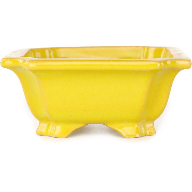 Maceta rectangular amarilla para bonsái de Shouzan - 127 x 103 x 47 mm