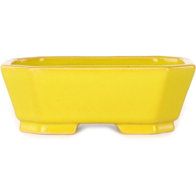 Rectangular yellow bonsai pot by Shouzan - 118 x 97 x 42 mm