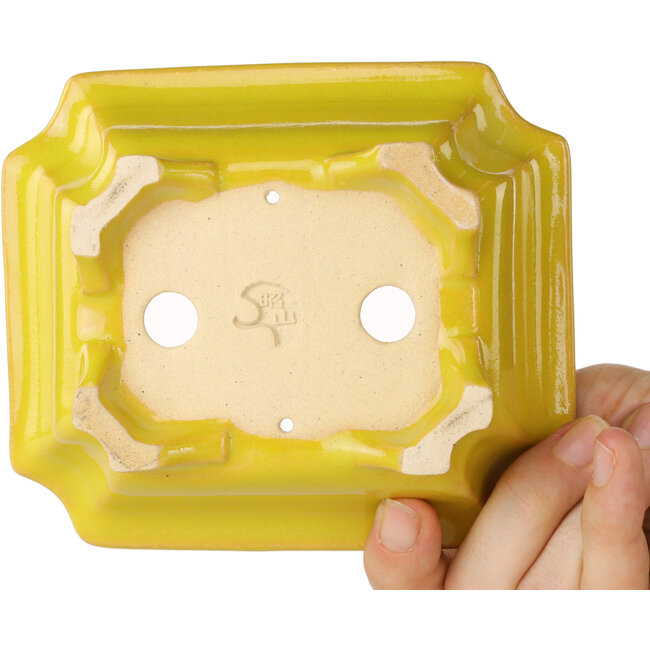 Rechthoekige gele bonsaipot van Shouzan - 127 x 103 x 47 mm