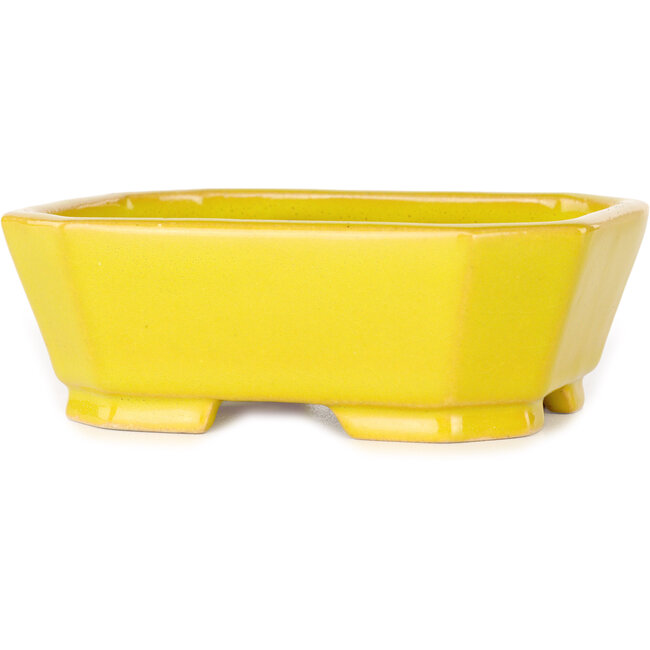 Rectangular yellow bonsai pot by Shouzan - 118 x 97 x 42 mm