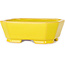 Pot à bonsaï rectangulaire jaune de Shouzan - 118 x 97 x 42 mm