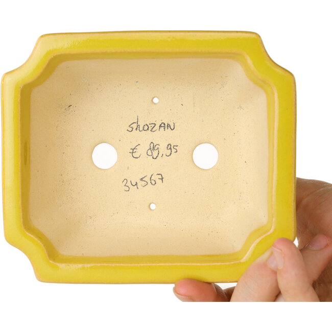 Maceta rectangular amarilla para bonsái de Shouzan - 127 x 103 x 47 mm