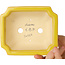 Maceta rectangular amarilla para bonsái de Shouzan - 127 x 103 x 47 mm