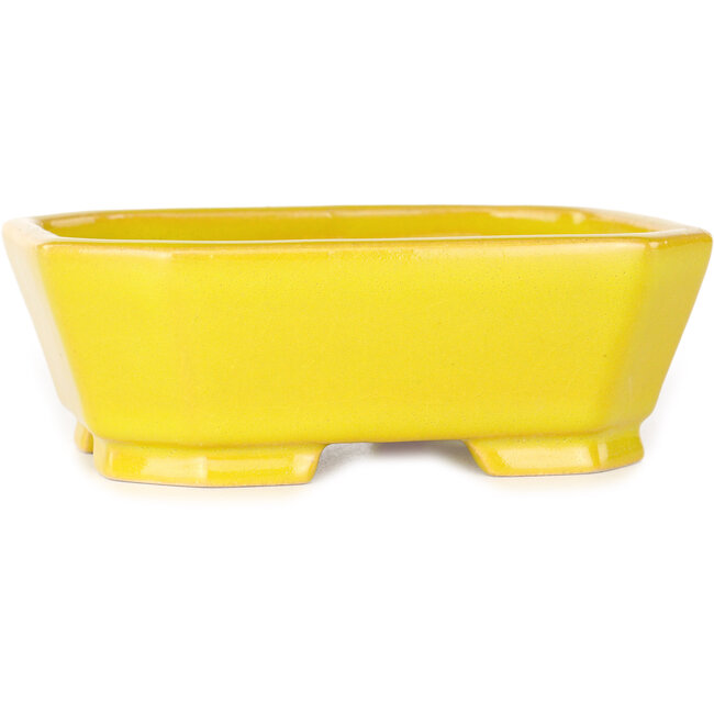 Pot à bonsaï rectangulaire jaune de Shouzan - 118 x 97 x 42 mm