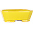 Vaso bonsai rettangolare giallo di Shouzan - 118 x 97 x 42 mm