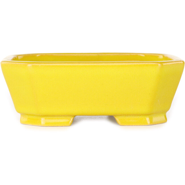 Pot à bonsaï rectangulaire jaune de Shouzan - 118 x 97 x 42 mm