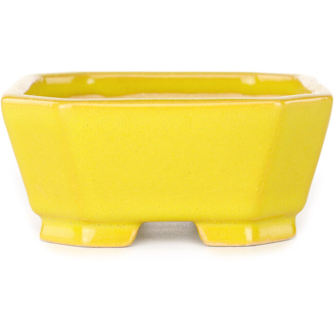Rectangular yellow bonsai pot by Shouzan - 118 x 97 x 42 mm