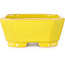 Rectangular yellow bonsai pot by Shouzan - 118 x 97 x 42 mm