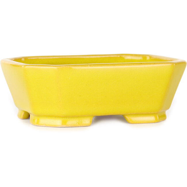 Rectangular yellow bonsai pot by Shouzan - 118 x 97 x 42 mm