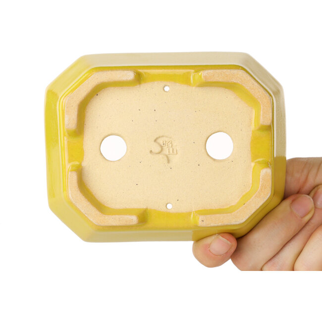 Rechthoekige gele bonsaipot van Shouzan - 118 x 97 x 42 mm
